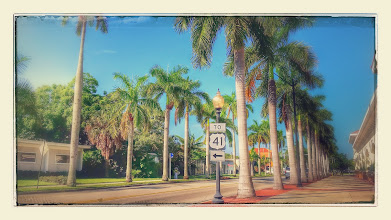 Historic McGregor Homes For Sale Fort Myers Florida
