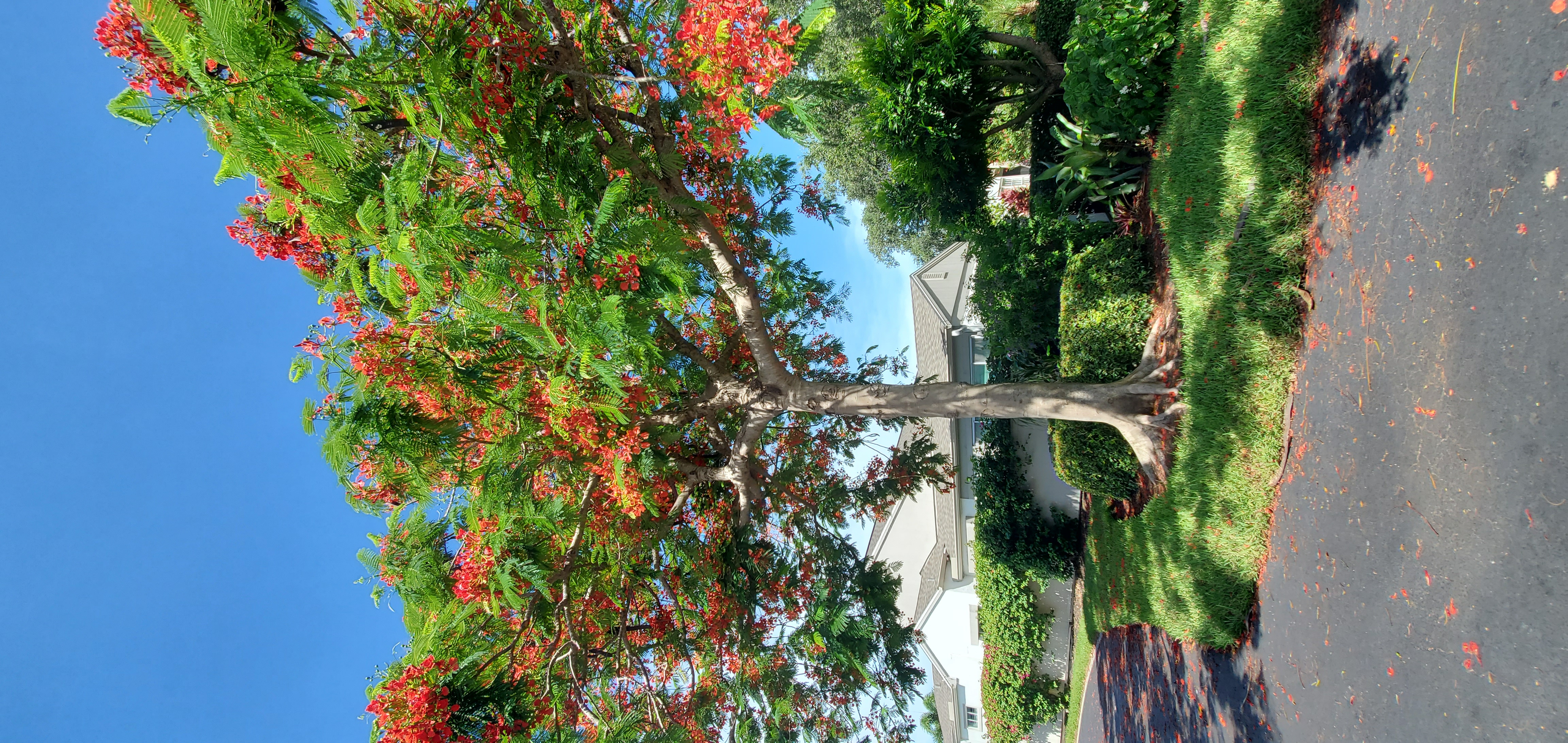 Wedgefield_Villas_at_Imperial_Golf_Estates_Naples,_Florida_Realtor