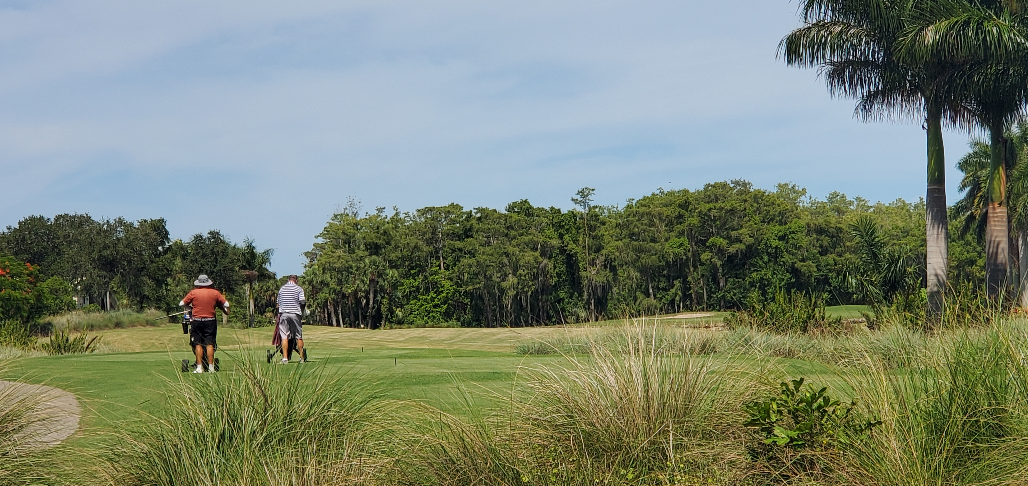 Imperial Golf Estates Naples, Florida Homes For Sale