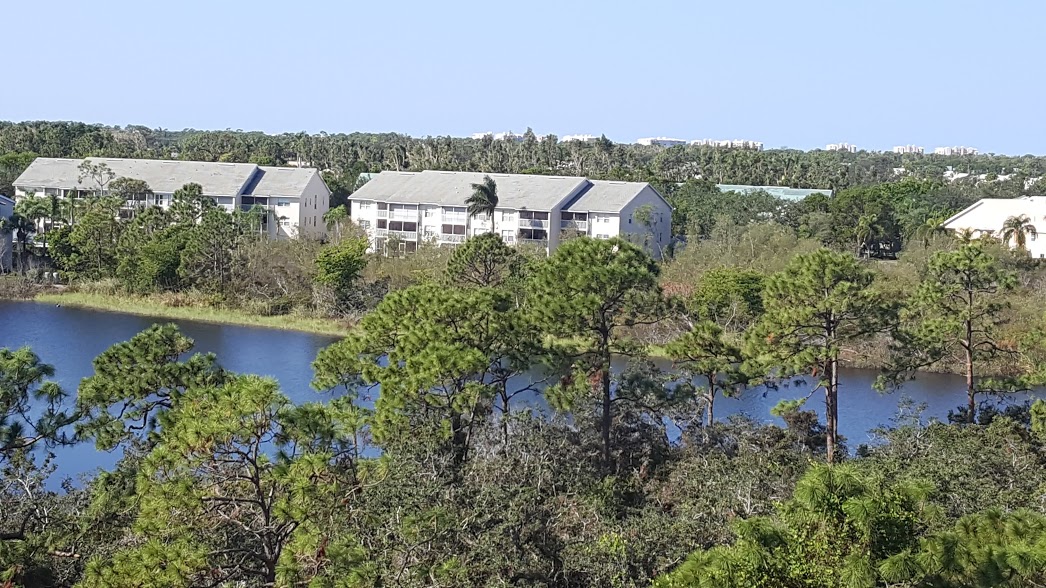 The Carlysle at Woods Edge Condos in Bonita Springs, Florida Carlyle Condo