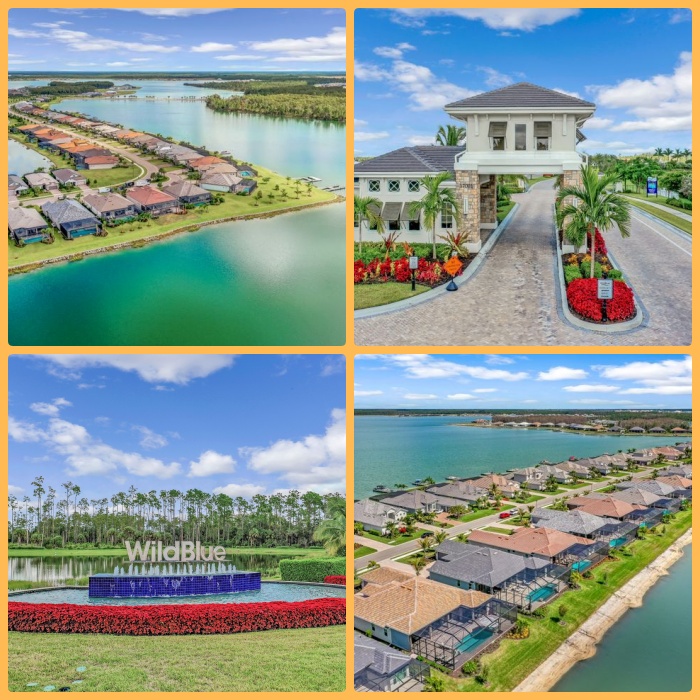 WildBlue community with lake views in Fort Myers Florida near Estero