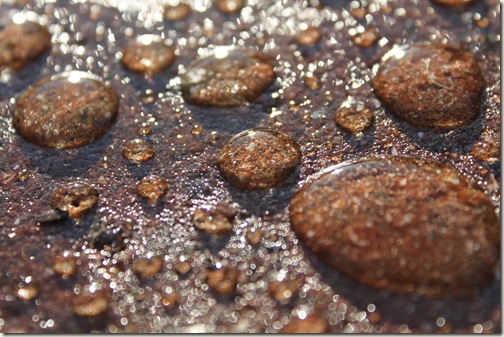 Driveway Water Drops