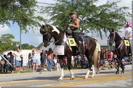 Horse 6