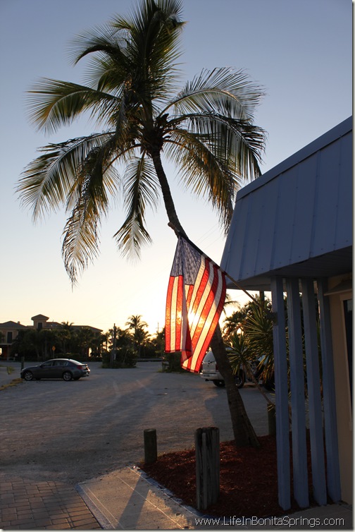 Flag and Palm Tree