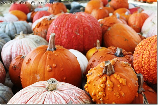 Fall Events Riverside Park