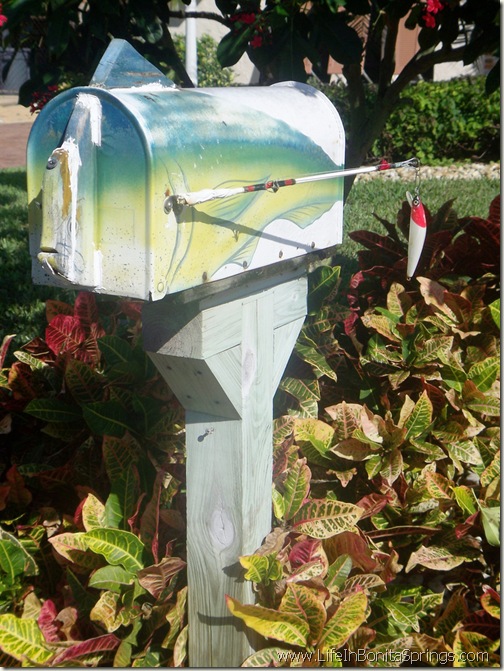 The Mailbox Series