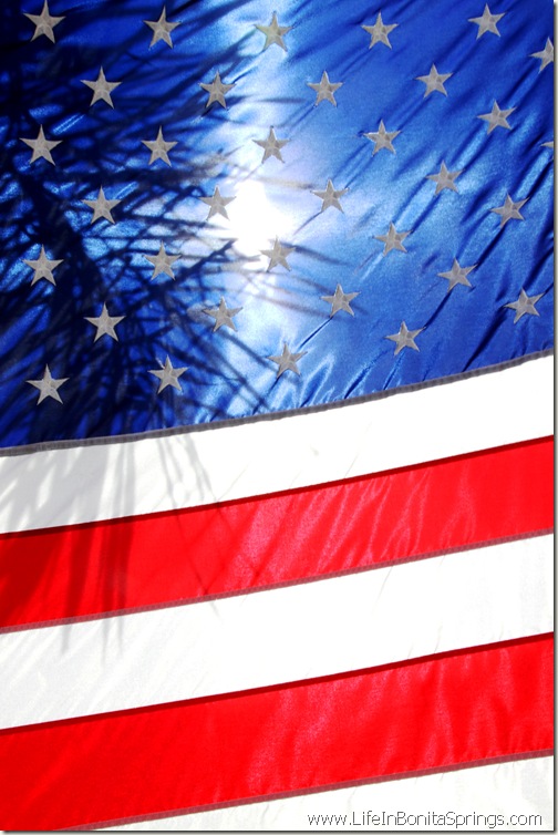 American Flag With Palm Shadow