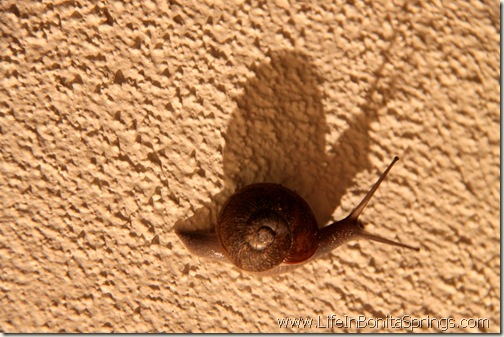(Watching his Shadow) I. Am. Huge!