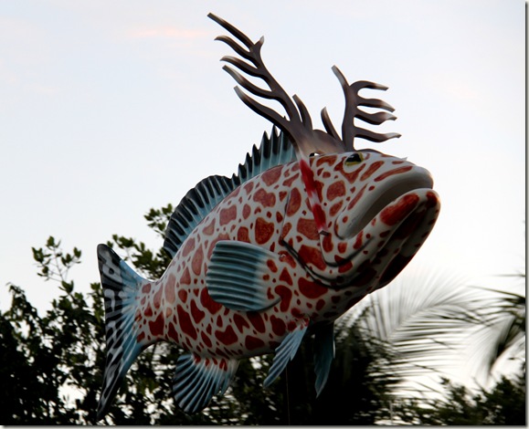 Rudolph the Red Nosed Grouper