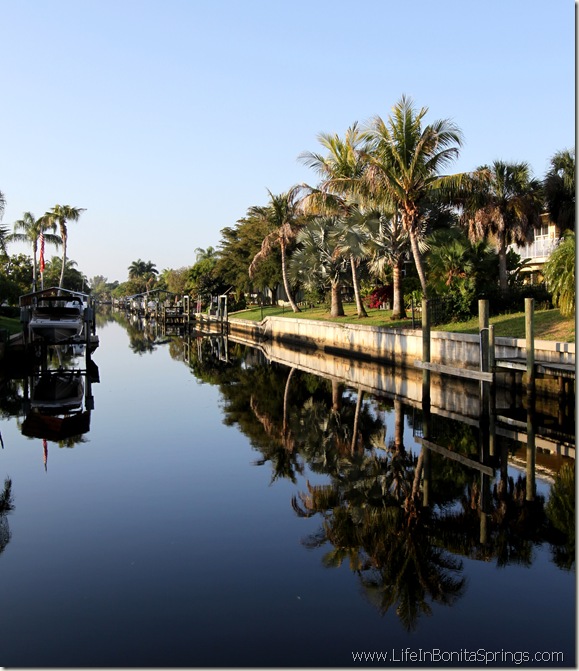 Florida In The Mornin