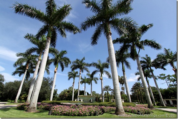 Bonita Bay Fountains & Royal Palms