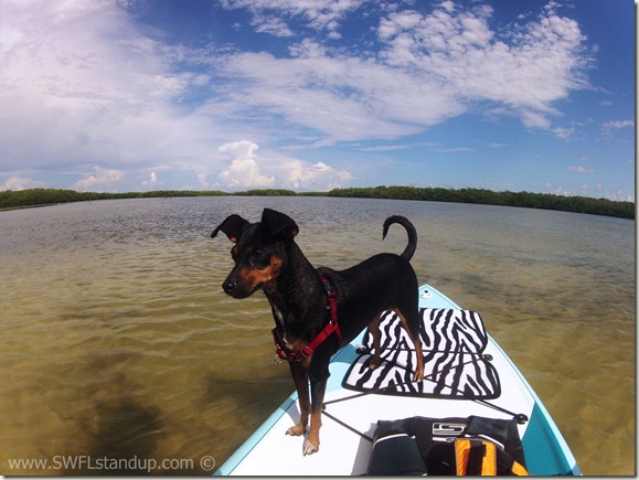 DCIM\103GOPRO