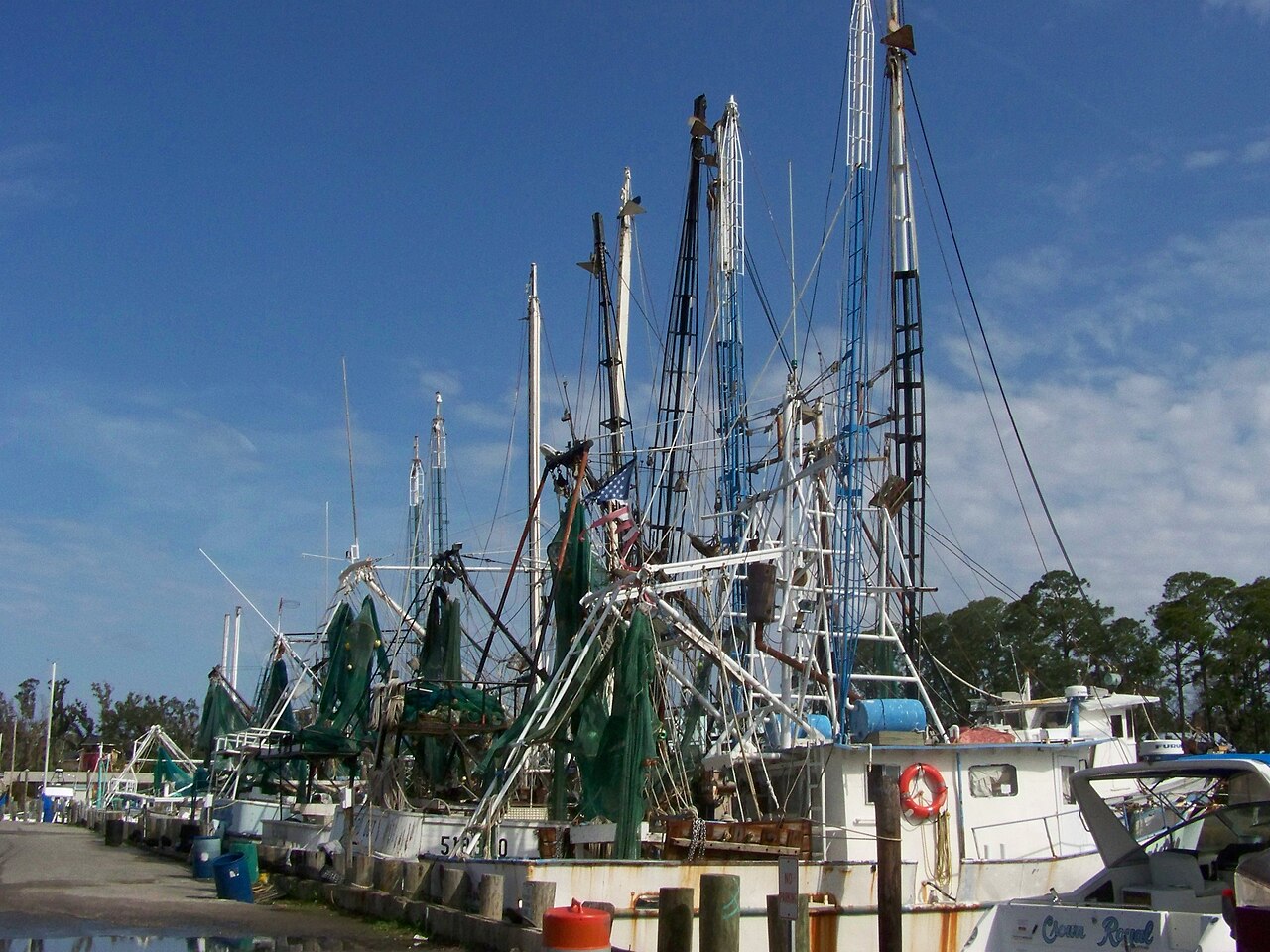 Shrimp boats tied up at the harbor in Ocean Springs
