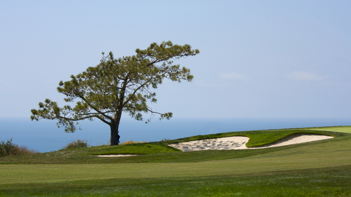 Golf Course