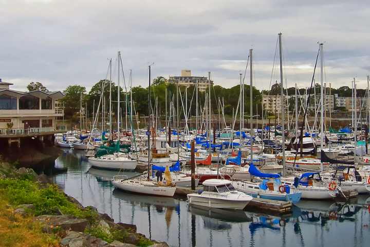 Sailboats at Oak Bay Marina