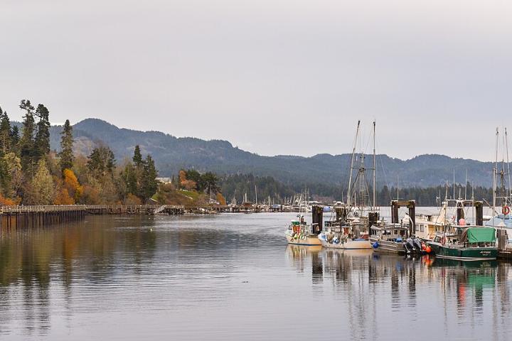 Sooke harbour and the hills behind it