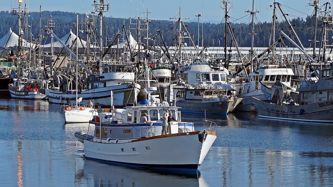 Fishing boats and a yacht moored in Campbell River harbour
