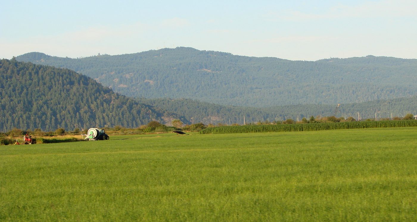 Cobble Hill real estate with farmland rural homes acreages and forested hills in the Cowichan Valley