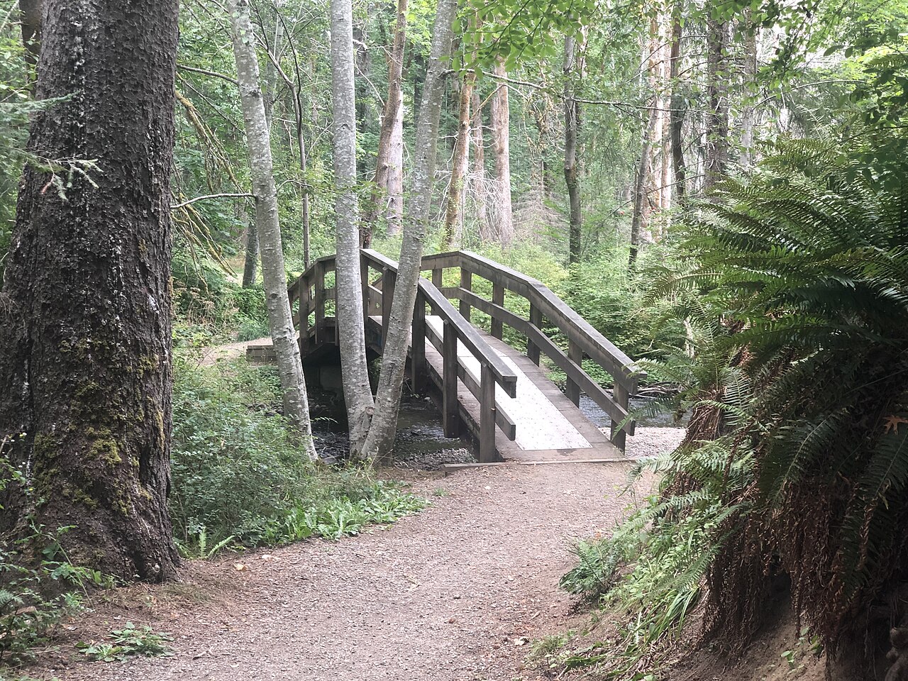 Forest trail and wooden footbridge in Puntledge Park, Courtenay