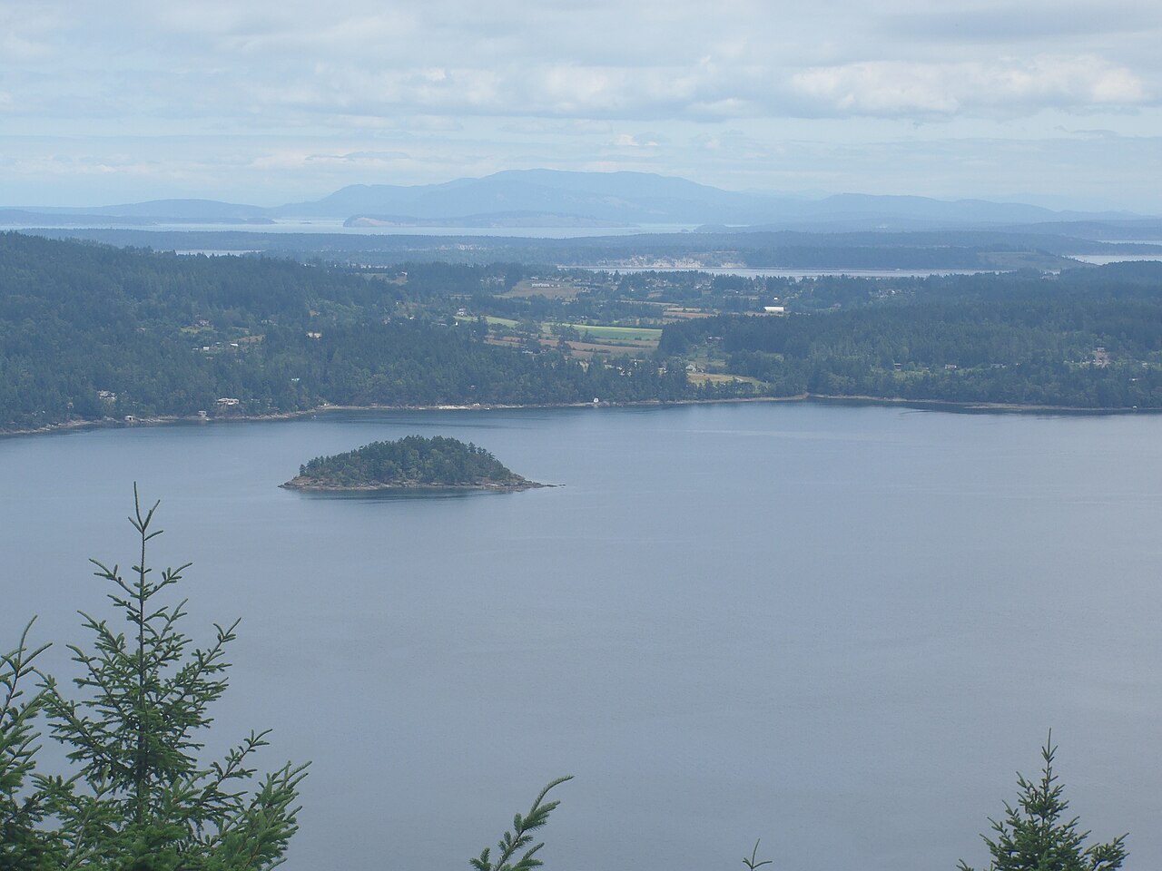 Forested South Cowichan coastline above a calm bay with a small island