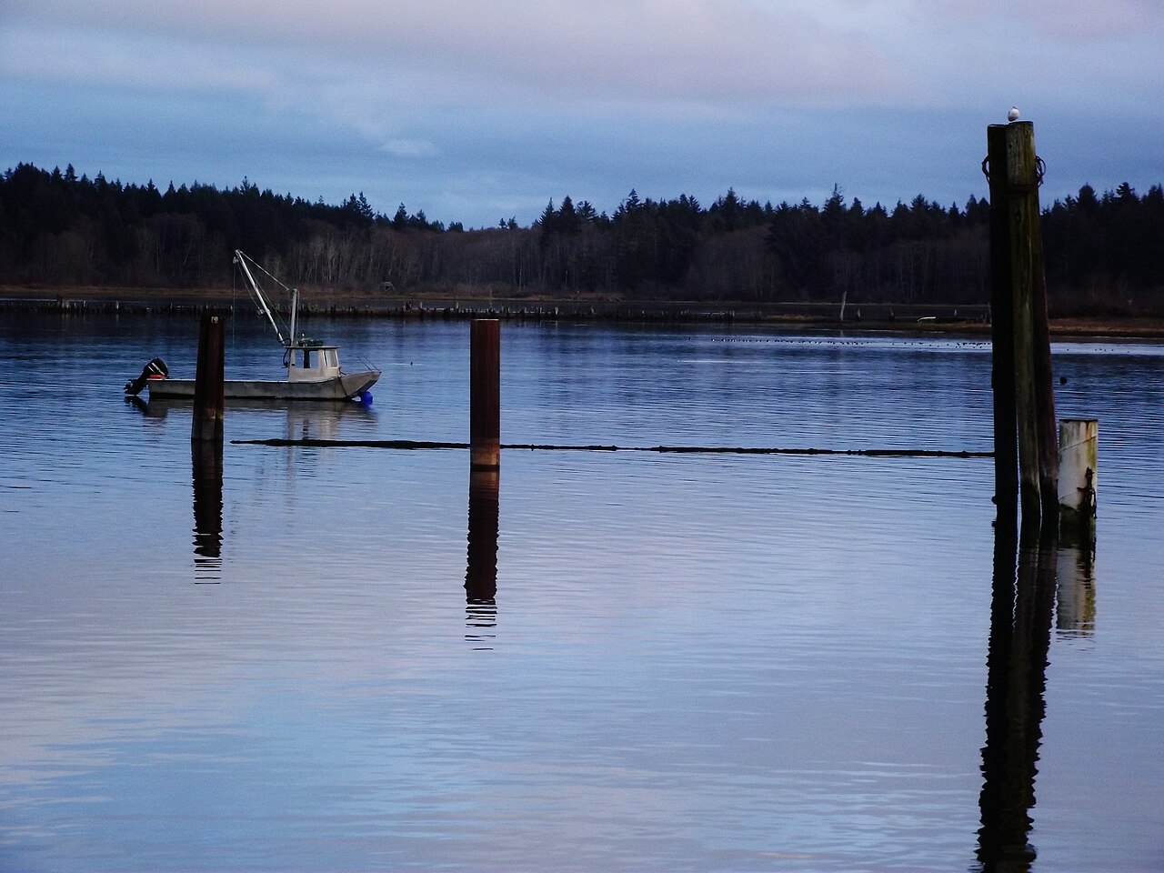 Calm water, old pilings and forested shoreline at Fanny Bay