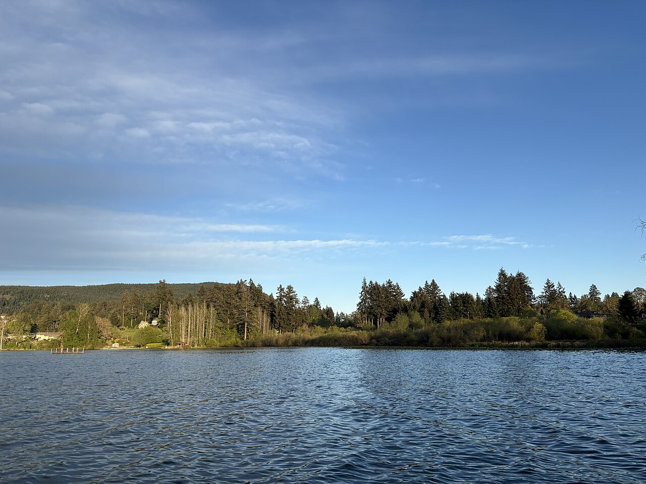 Quamichan Lake in North Cowichan with trees along the far shore
