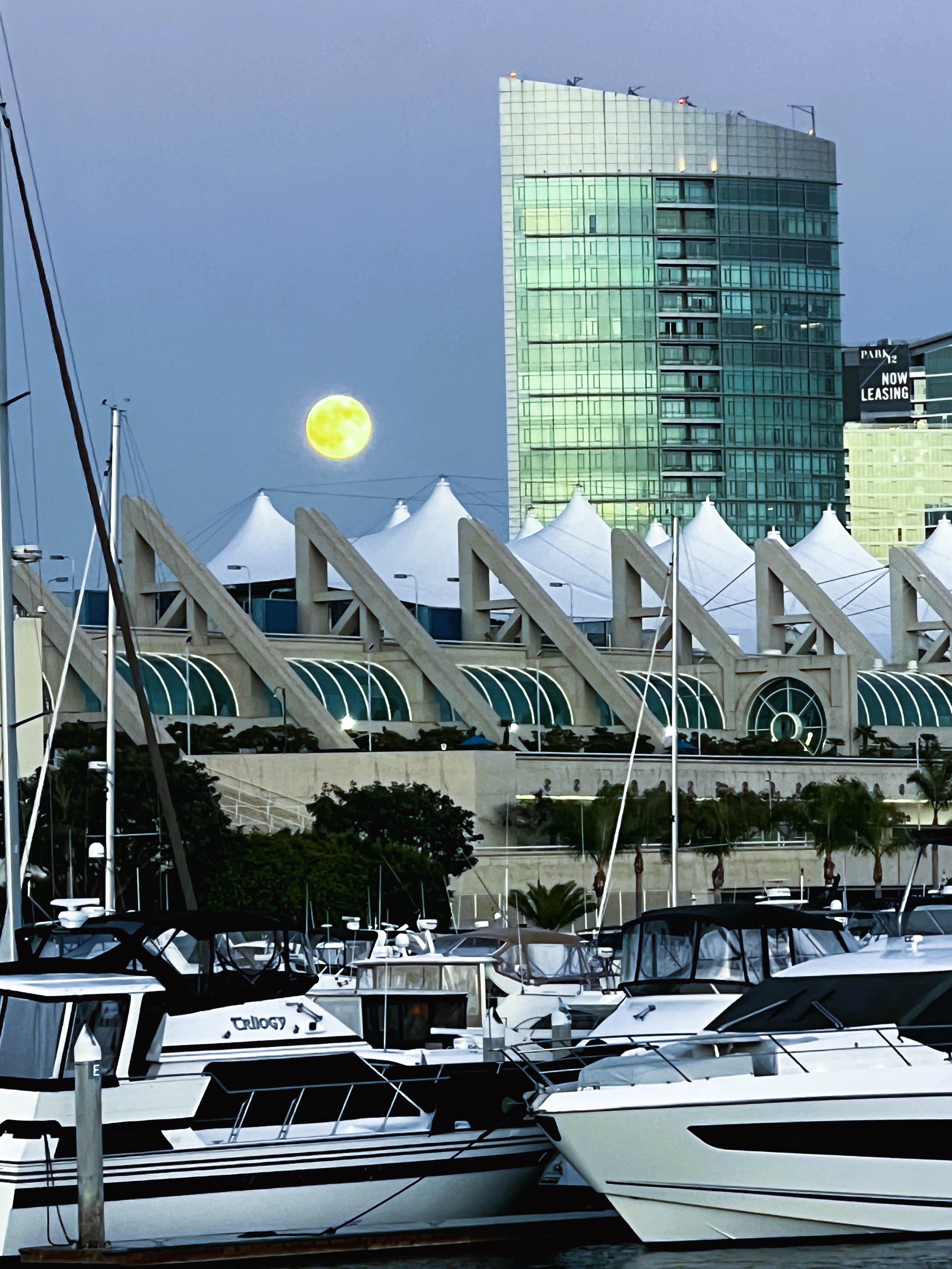 The metropolitan condominiums downtown San Diego