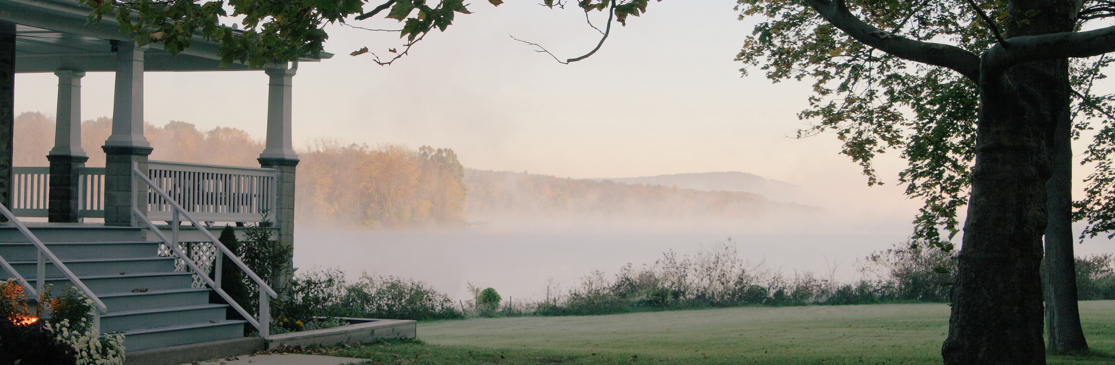 Jacquie Litton REALTOR®