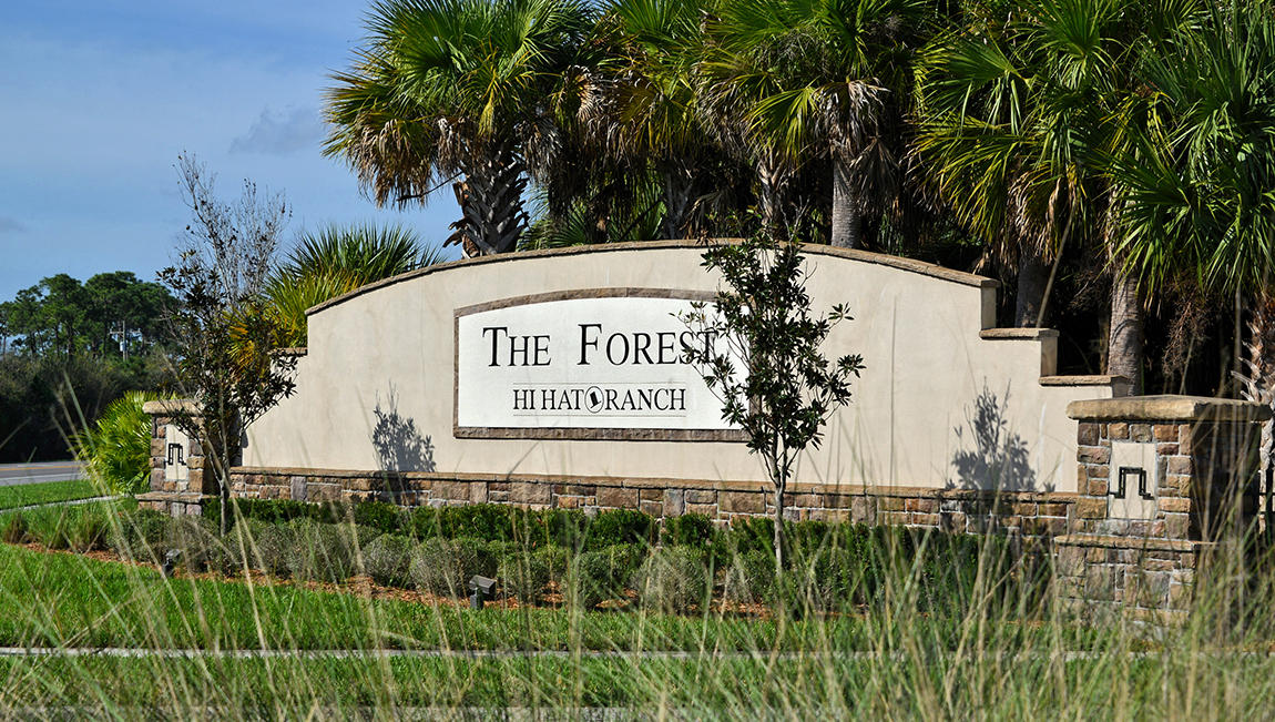 The Forest at Hi Hat Ranch Real Estate