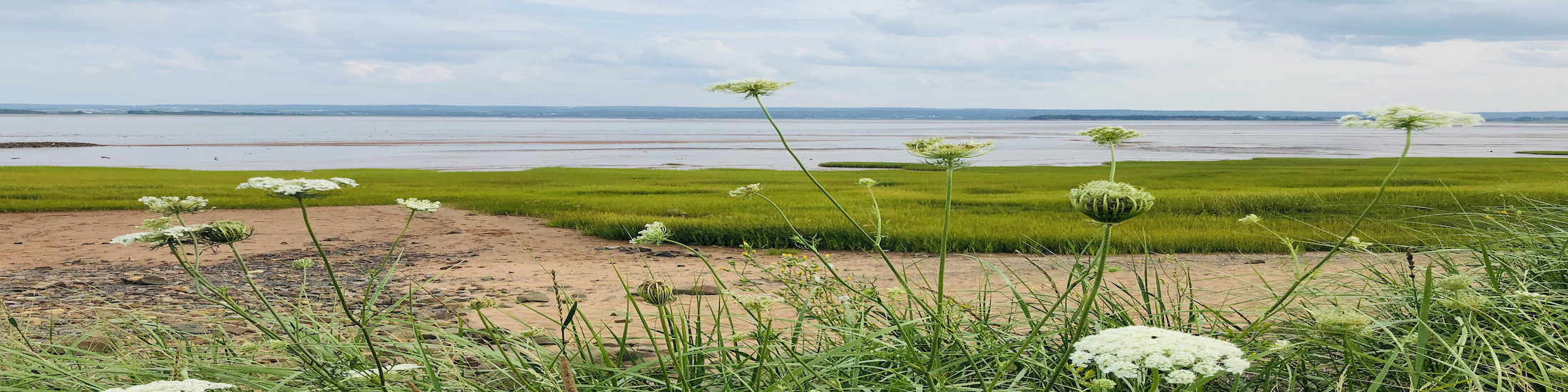 Kings County Nova Scotia Real Estate Kings County Nova Scotia Homes