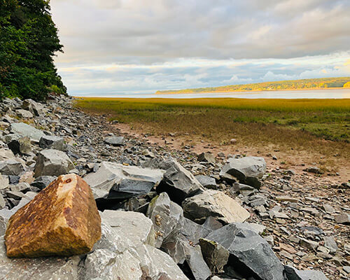 Hantsport Real Estate