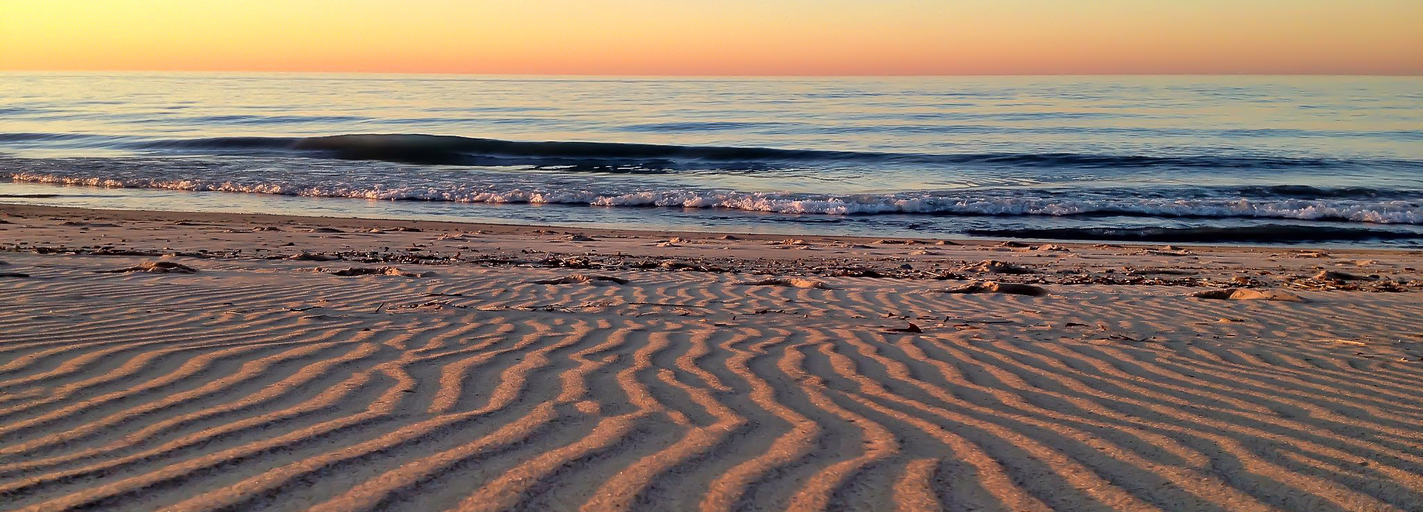 New Buffalo MI Real Estate Liz Roch New Buffalo Realtor Lakefront Properties Lake Michigan