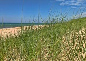 New Buffalo Beach