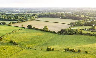 Land Brokerage