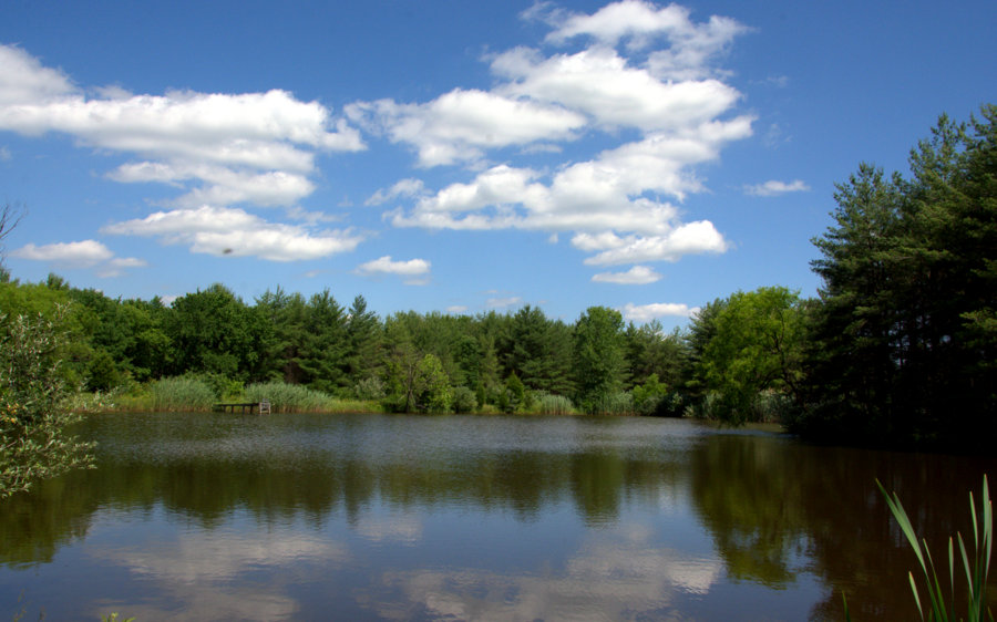 Wonder pond located on 30 acres