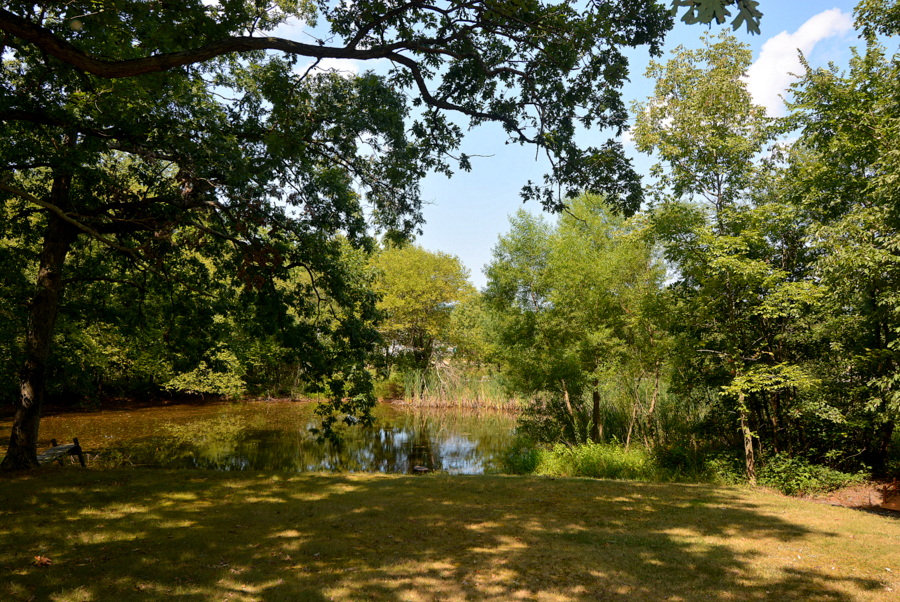 to 42441 Lucketts Road in Leesburg Virginia