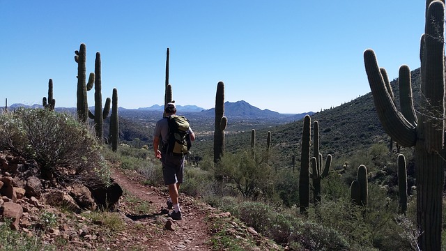 Where to Find Some of the Best Hiking Spots in the Valley of the Sun