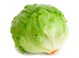 Arizona Lettuce