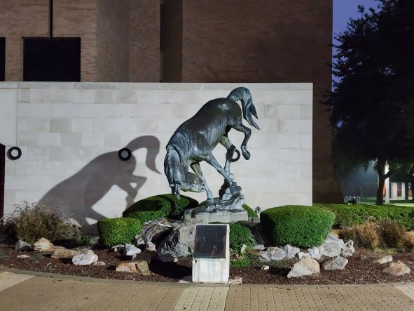 UTRGV old mascot_the Bronc_now the Vaqueros