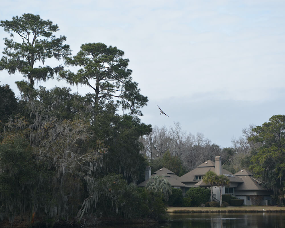 Hilton Head Plantation Real Estate