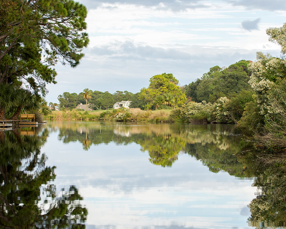 Palmetto Dunes Real Estate