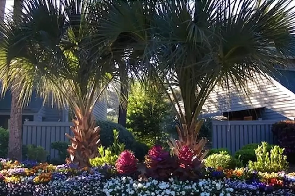 Ocean Cove Villas Hilton Head for Sale Palmetto Dunes Real Estate