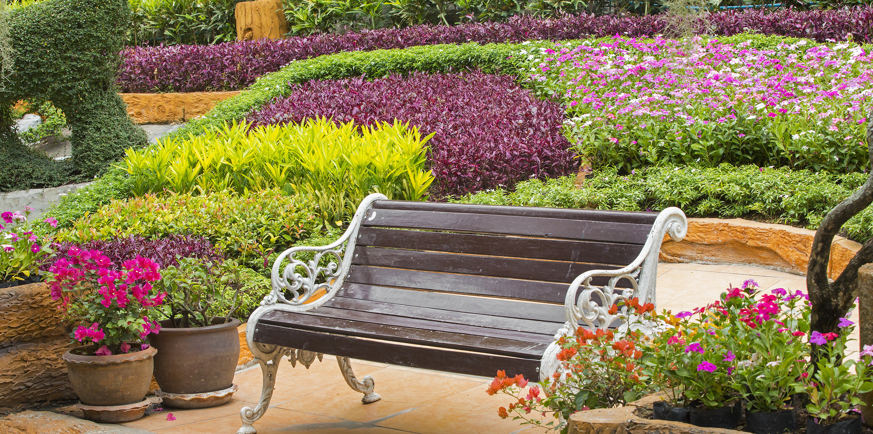 Sterling Real Estate Search All Sterling Homes & Townhomes For Sale