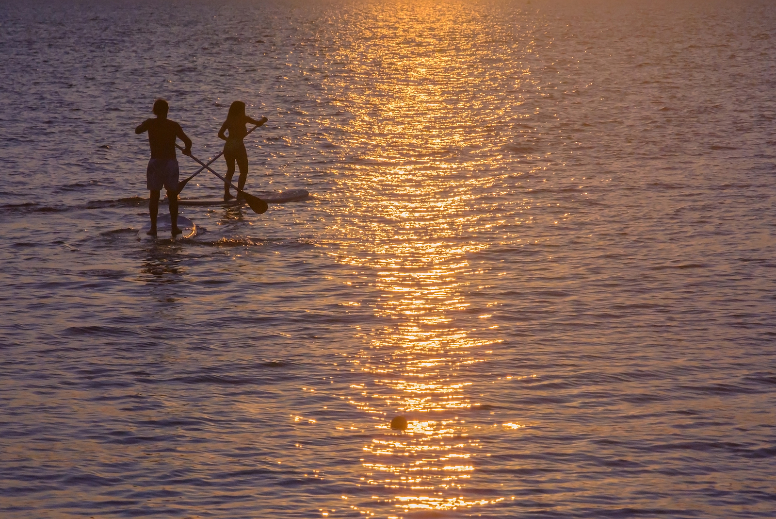 Paddleboard near Oahu homes