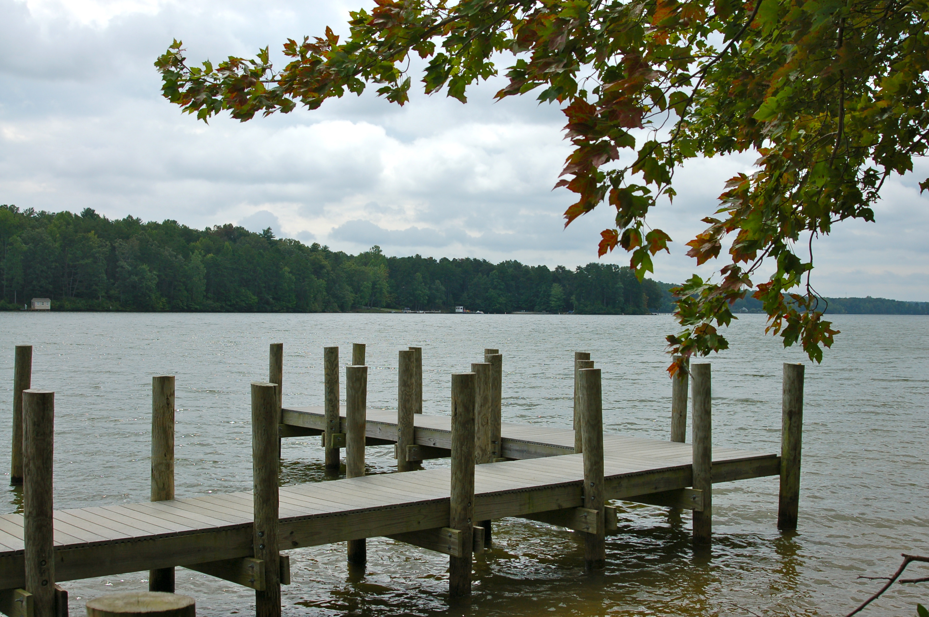 Dock and lakeshore at Lake Anna State Park Virginia