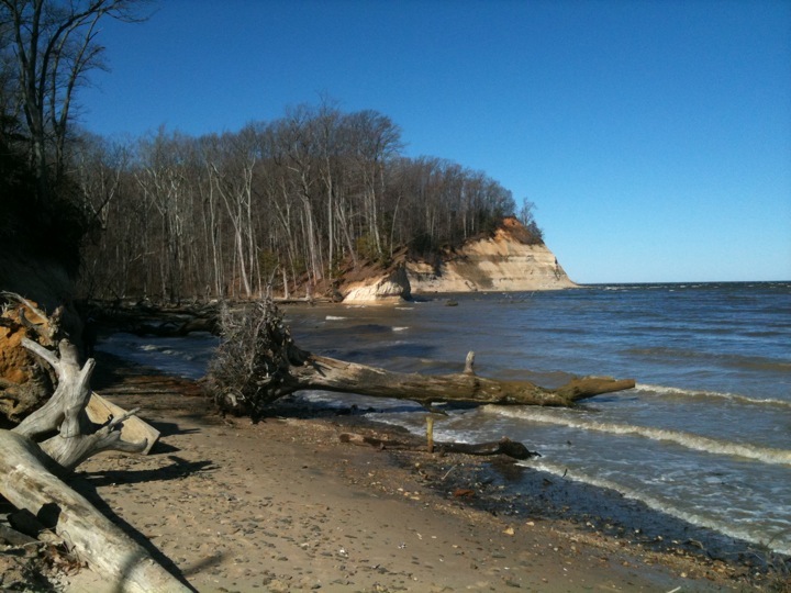Potomac River shoreline at Westmoreland State Park in the Northern Neck