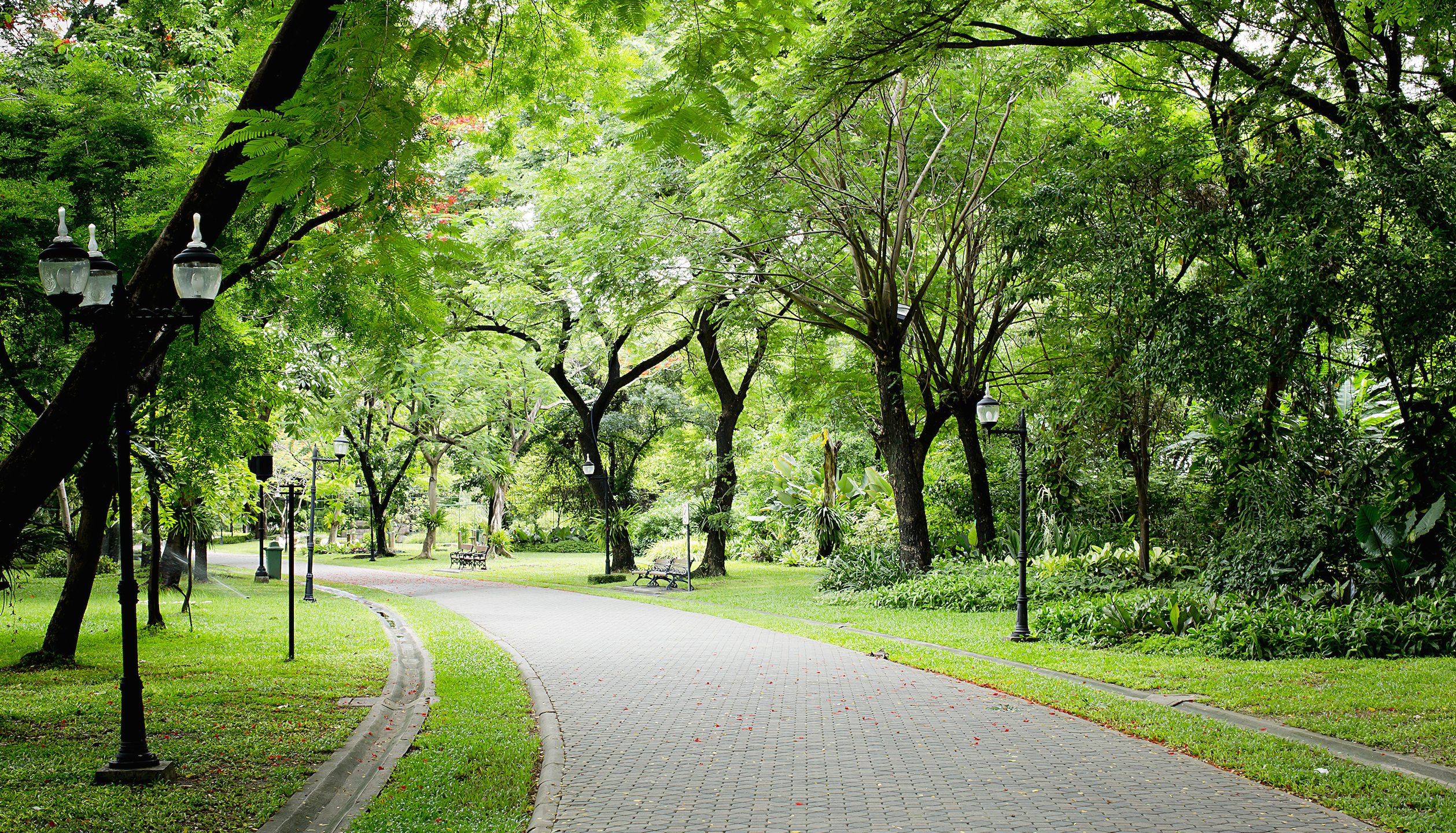 Real Estate Lots and Land For Sale in Williamsburg