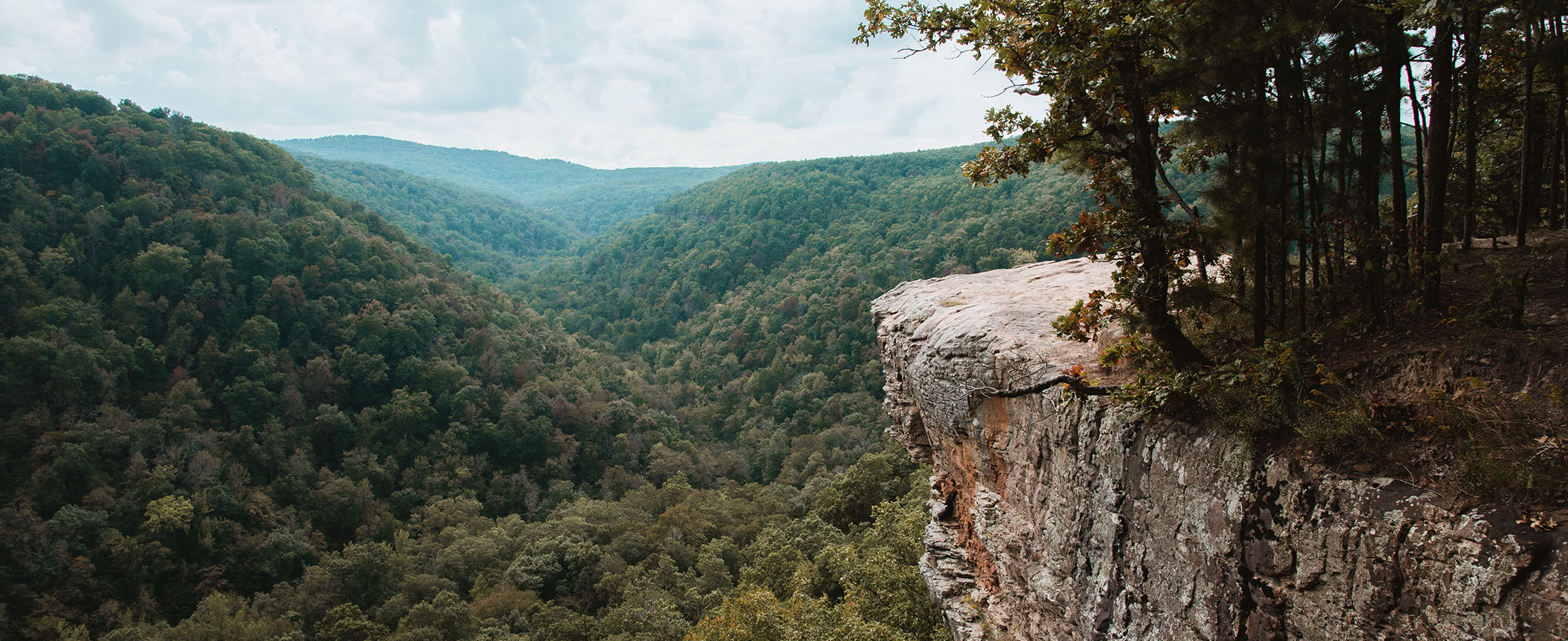 Northwest Arkansas Real Estate Northwest Arkansas Homes for Sale