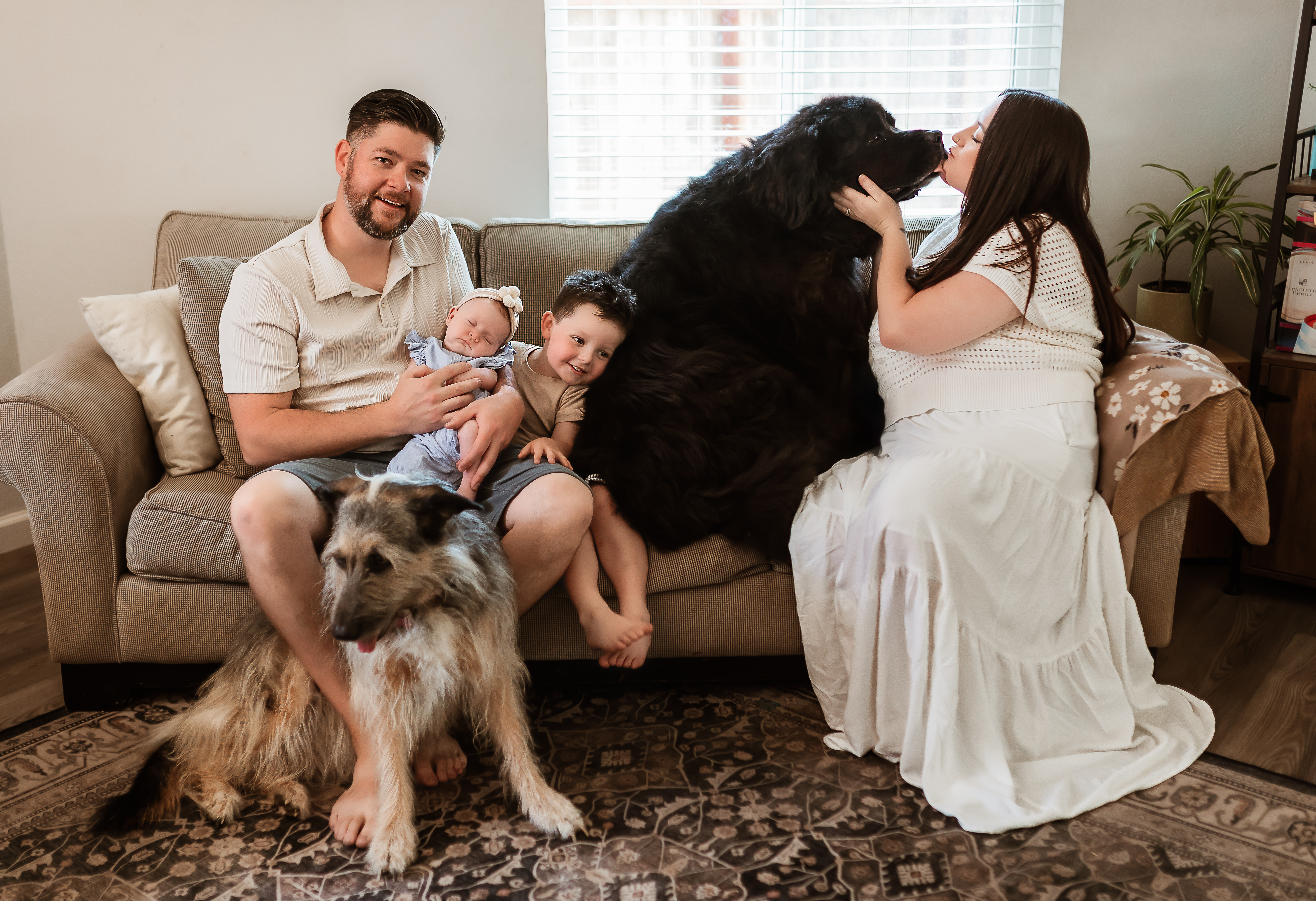 Family & Dogs on couch