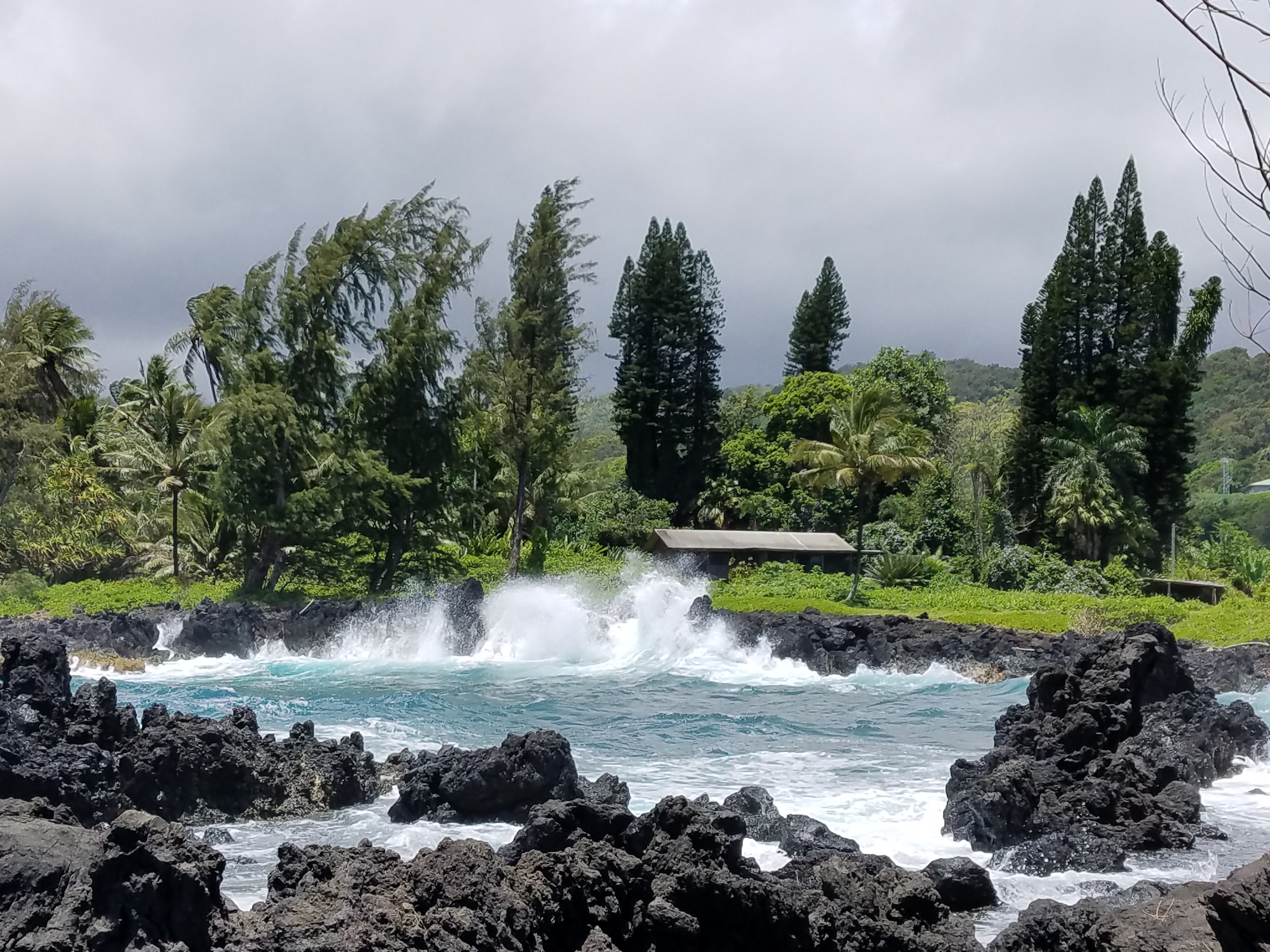 Keanae Peninsula on the Road to Hana. 